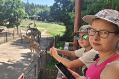ZOO-Olomouc-3