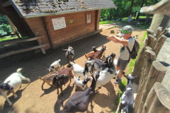 ZOO-Olomouc-6