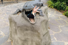 Socha krokodýla s rukou žáka.