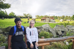 Žáci u velbloudů.