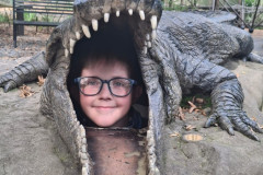 Socha krokodýla a hlava chlapce.