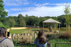 Žáci pozorují slona.