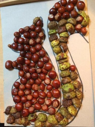 Veverka z přírodnin