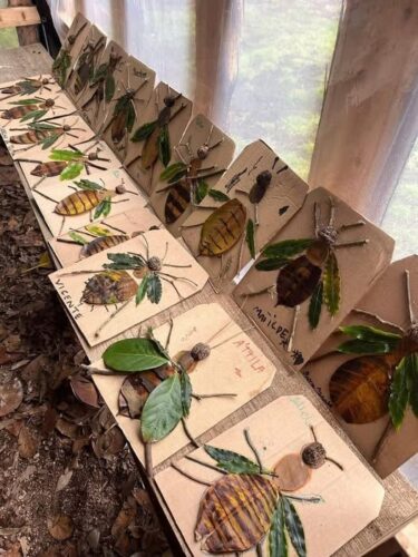 Tvoření - hmyz z listů