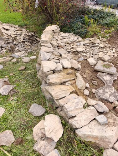 Budoucí ještěrkovník