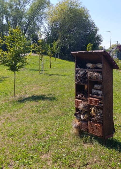Zelená škola Olomouckého kraje - 1