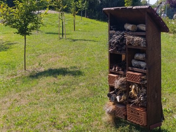Zelená škola Olomouckého kraje