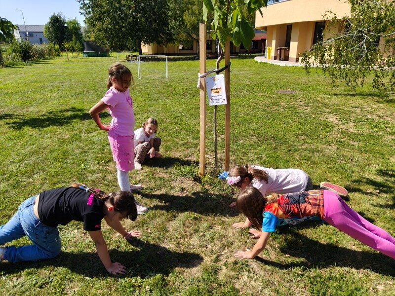 Seznamovací stezka Seznamovací stezka